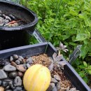 구룡서길 이미지