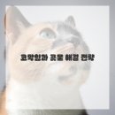 해수약국 이미지