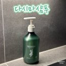 두피케어샴푸 비건샴푸 티아라코스메틱 다시마샴푸