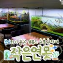 킴디스커스앤구피 | 슈퍼덤보구피