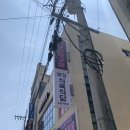 핑피리핑퐁진주