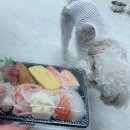 무모한초밥 하남풍산점 이미지