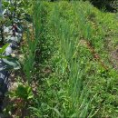 내곡농장 이미지