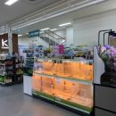 하나로 플라워 수족관 이미지