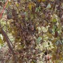 사랑밭재활원 이미지