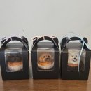 너를닮은케이크 | 너를 닮은 케이크 6주 클래스 수강 후기