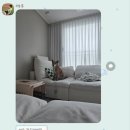 평강공주 | 안성 평강공주 보호소 강아지 임보 후기-반지코(1)