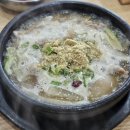 거문오름 오디하우스 이미지