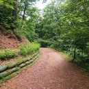 태백고원 700 산소길 이미지