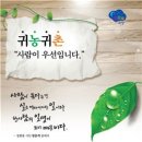 귀농이네