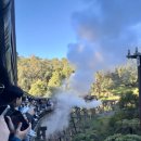 푸른농산 | 호주여행 멜버른 퍼핑빌리 증기기관차 미스마플 땡스투어 내돈내산 후기