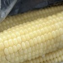 경호민박 이미지