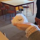 모루인형 만들기 | [오이도] 실내 놀거리, 데이트 하기 좋은 영글공간 모루인형 만들기 내돈내산 후기!