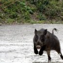 정숙 농장 이미지