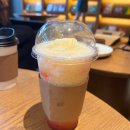 포레스트 라운지 - 중구 | 제천포레스트리솜 마묵라운지 내돈내산 후기