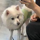곰슌
