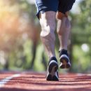 엘리트핏24 휘트니스 이미지