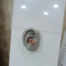 시그니아독일보청기 노원센터 | 청력 걱정 끝! 시그니아독일보청기 일산센터 방문 후기와 다양한 청력 케어 꿀팁 알려드릴게요!