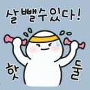 다이어트연구소 온