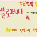 헬로퍼피1 이미지