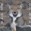 무념무상 이미지