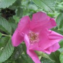 현철농장 이미지