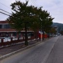 입석마을회관 이미지