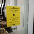 페로페라 동물병원 이미지