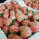 찬누리농장 이미지