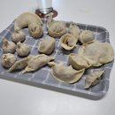 공룡만두 이미지