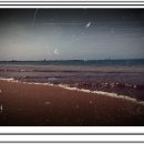 황금빛노을바다 낚시터 이미지