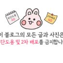 진스플라워 - 수원시 팔달구 효원로 257 | 진스플라워