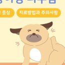 포레동물병원 이미지