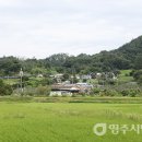 노곡1리 이미지
