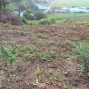 움찬농장 이미지