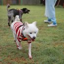 멍스퀘어 이미지