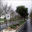 시온이불 이미지