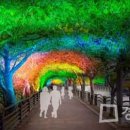 덕풍천동로 이미지