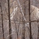 도장골경로당 이미지