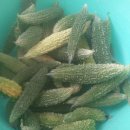 봉의농장 이미지