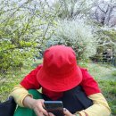 도레미 노래교실 이미지