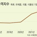케이드론