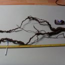 월영동255 이미지