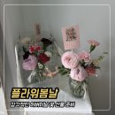 단아하개 | 청주 송절동 꽃집 어버이날 꽃 선물하기 너무 좋은 플라워봄날 추천
