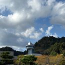 보성꽃식물원 이미지