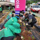 새마을 지도자의 탑 이미지