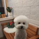 오구오구살롱 이미지