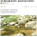 계곡 불법시설물 철거하자…팔공산에 담비가 돌아왔다 이미지