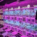 찌꼬뽀꼬 이미지