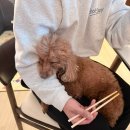 궁평항해오름수산시장 | 방어 사러 갔다가 해산물 왕창 사 온 궁평항 수산시장 후기